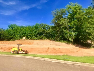 1102 Fawn Cove, Oxford, MS 38655 - photo 3