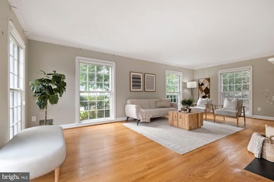 11109 Ardwick Dr, Rockville, MD 20852 - photo 7