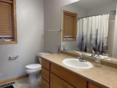 438 Lake Trail, Winsted, MN 55395 - photo 7