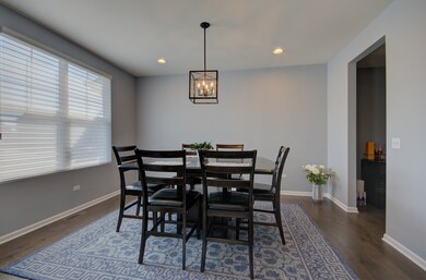 15728 Brookshore Dr, Plainfield, IL 60544 - photo 6