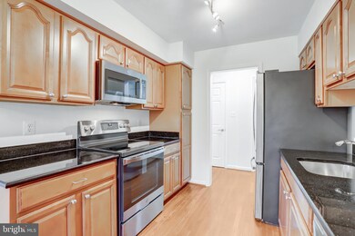 3330 Spring Ln unit D34, Baileys Crossroads, VA 22041 - photo 4