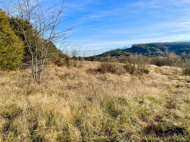 231 Highway 1003, Somerset, KY 42501 - photo 4