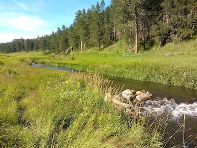 12726 Nemo Rd, Nemo, SD 57759 - photo 2