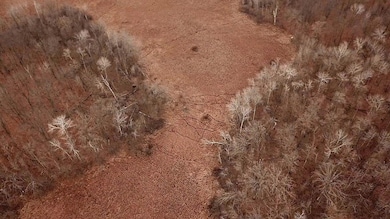 32294 93rd St, Pierz, MN 56364 - photo 4