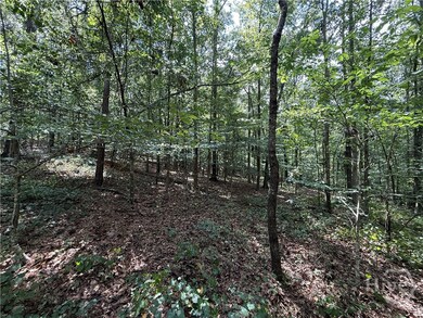 1276 Winns Lake Rd, Comer, GA 30629 - photo 6