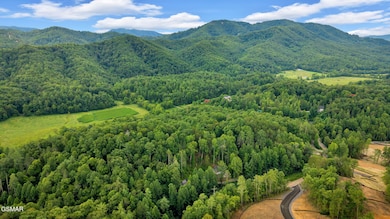 2485 Waldens Creek Rd, Sevierville, TN 37862 - photo 3