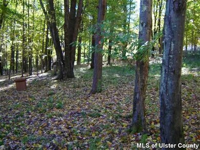 346 Whitfield Rd, Accord, NY 12404 - photo 4