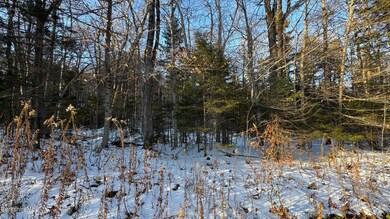 lot139&140 Bergrucken Ln, Readsboro, VT 05350 - photo 4