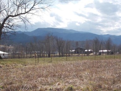 mountain views