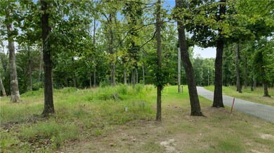 All Lots Esculapia Hollow Rd, Rogers, AR 72758 - photo 7