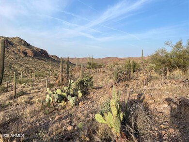 009 N Elephant Butte Rd unit J, Queen Valley, AZ 85118 - photo 5