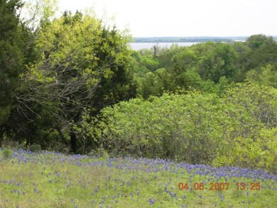 16054 Faircrest Dr, Whitney, TX 76692 - photo 6
