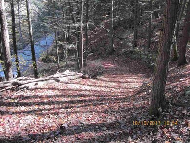 0 Gulf Rd unit 4664695, Chesterfield, NH 03443 - photo 5