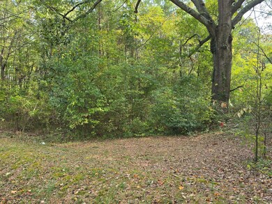 301 Cavender St, La Fayette, GA 30728 - photo 5