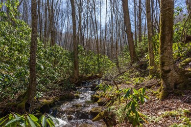 Lot 50 Bearwallow Ridge Trail unit 50, Qualla, NC 28779 - photo 6
