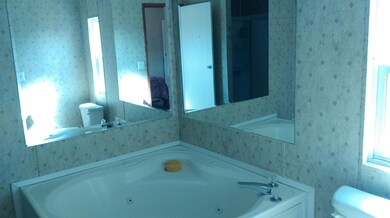 IMAG0352