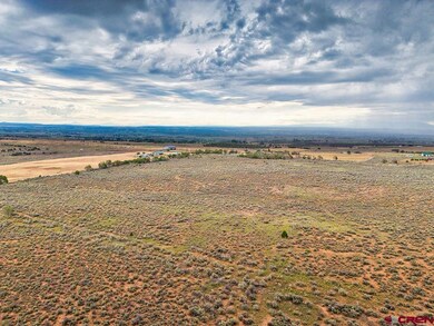 TBD 1 N 20 Rd, Cortez, CO 81321 - photo 4