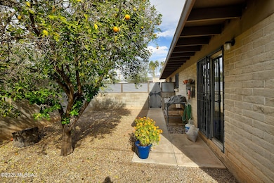1661&1663 N Catalina Ave, Tucson, AZ 85712 - photo 3