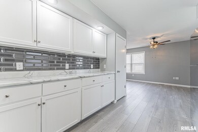 524 N Hamilton St, Lincoln, IL 62656 - photo 7