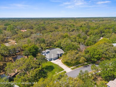 3-web-or-mls-DJI_20250416113828_0539_D