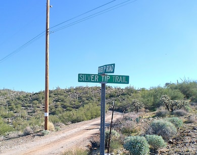 0 E Silver Tip Rd unit 6955485, Queen Valley, AZ 85118 - photo 2
