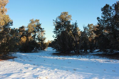 0 Power Line Dr unit 227958, Aripine, AZ 85933 - photo 4