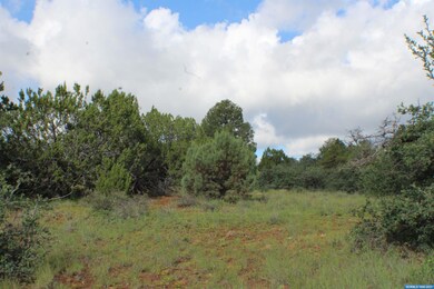 91xx Hideaway Trail, Silver City, NM 88061 - photo 7