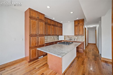 126 Saguache Dr, Florissant, CO 80816 - photo 6