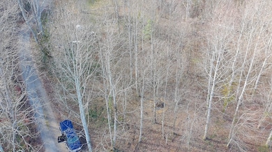 LOT 2 Eagle Heights Rd, Hiawassee, GA 30546 - photo 4