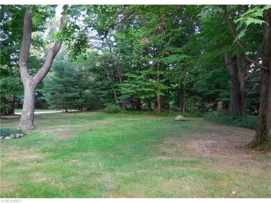 Beautiful back yard!