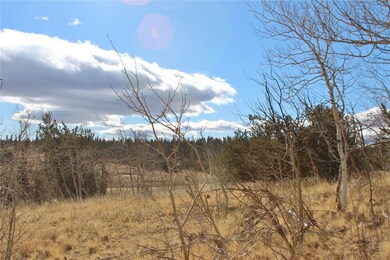 216 Musket Ln, Como, CO 80432 - photo 3