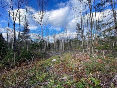 - Paquin, Colebrook, NH 03576 - photo 3