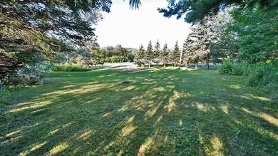 3-townline-rd-ludlow-land-7