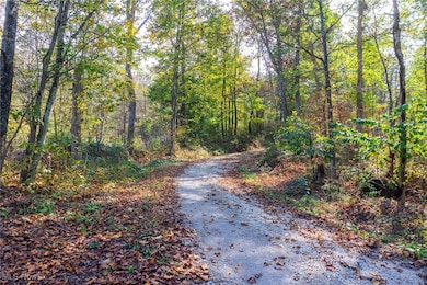 View of street with a view of trees