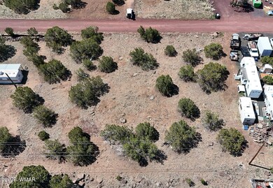 DJI_20250520094941_0004_D