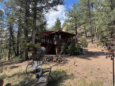 15751 S Elk Creek Rd, Pine, CO 80470 - photo 6