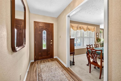 4001 Highgate Dr, Valrico, FL 33594 - photo 3