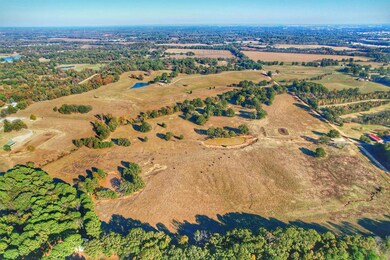 747 County Road 342, Jonesboro, AR 72401 - photo 3