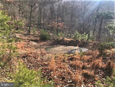 0 Roy Hyre Hollow Rd unit WVGT2000174, Petersburg, WV 26847 - photo 2
