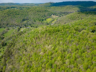 14.79 AC Issacs Pass, Cookeville, TN 38506 - photo 5