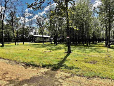 350 Barge View Ln, Adamsville, TN 38310 - photo 4