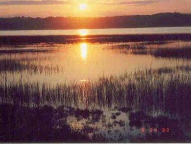 Ogunquit River Views