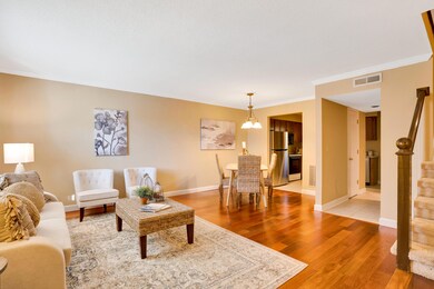 315-3-McBrien-Rd-MLS-Photos-4