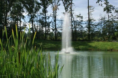 Front Pond 002
