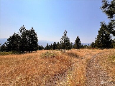 0 TBD Honeysuckle Ln, Curlew, WA 99118 - photo 7