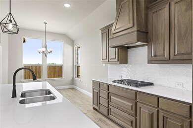 7836 Barley Field St, Joshua, TX 76058 - photo 4