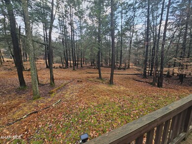 231 Fox Ridge Rd, Flinton, PA 16640 - photo 6