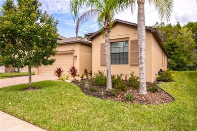 11683 Crestridge Loop, New Port Richey, FL 34655 - photo 4