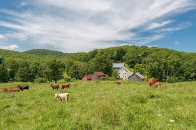 935 Dana Rd, Pomfret, VT 05053 - photo 5