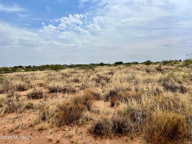 TBD N Carina Cir unit 32, Mescal, AZ 85602 - photo 5